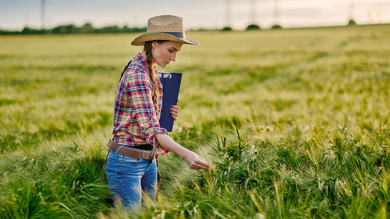 Woman checking crops